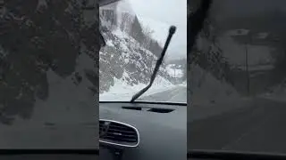 POOR BIG GUY! 🐻❄️ Massive Bear Tumbles Down Mountain!#bear #snow #accident #wildlife #natureiswild