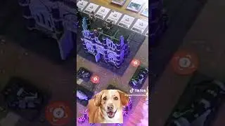 Luna getting bonked with dice in a Kill Team Battle Report?!?!?! #shorts