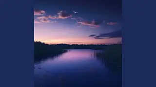 quiet pond (Memory Phoam Remix)