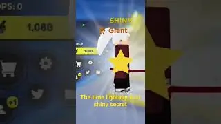 Got a shiny secret in anime fighters sim ⭐️