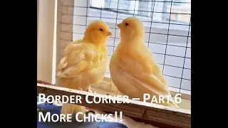 Угол границы - Сезон 2 Часть 6