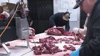 Полная переработка туши белохвостого оленя