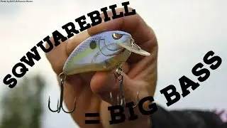 Ish Monroe : Squarebill Crankbaits WIN Tournaments