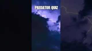 Would You Survive a Predator Encounter? Test Your Primal Instincts #wildlife #challenge