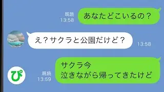 【LINE】休みになると娘を連れて出かける夫「休日はゆっくりしてな」気遣いだと思っていたがそこにはまさかの理由が…【スカッと修羅場】【総集編】