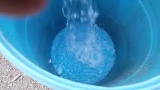 pig water barrel and little tasks