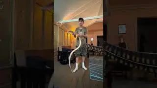 A huge 7ft Black Tail Cribo Snake