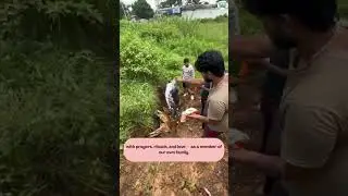 Dignity in Death: Shakuntaladevi Trust Performs Cow Last Rites