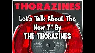 Let&rsquo;s Take A Look At The New 7&rdquo; By THE THORAZINES. #ramonescore #poppunk #punkvinyl #punkrecords