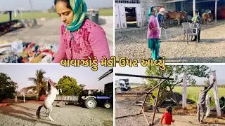 વાવાઝોડું મેડી ઉપર આવ્યું||ઘોડી ની ટ્રેનિગ સાલું||#viral #vlog #gamdu #horse #vloglife 