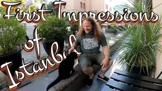 My First Impressions of Istanbul, Turkey - A Journey Beyond Expectations | T&uuml;rkiye 🇹🇷