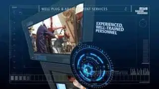 Well Plug and Abandonment Services