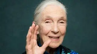 An AI Tribute to Jane Goodall: Hope, Action, and Our Shared Home
