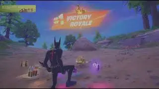 Fortnite solo 10 kill win 