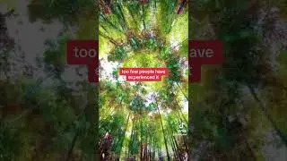 spiritual transformation signs 💚💚💚