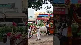 🚩palki yevat 🚩# shorts#ytshorts