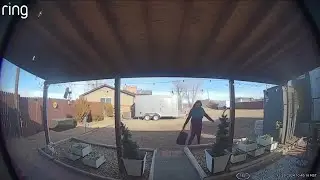 Security camera captures woman dumping puppy at Aurora dog rescue