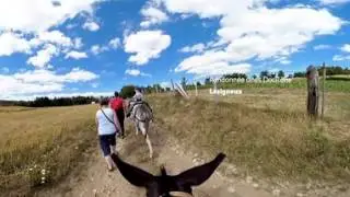 Balade virtuelle en Loire Forez