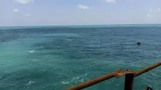 colour change of water in sea