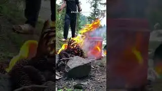 Catch and Cook | Fishing and Grilling in Naltar Valley 2023 end