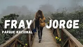 El primer sitio starlight de Sudamérica está en CHILE 🇨🇱 |  Parque Nacional Bosque Fray Jorge