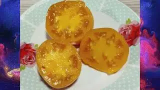 Томаты селекции В. Г. Алифирова   т.  89229284031