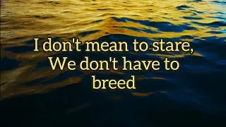 Nirvana - Breed (Lyrics)