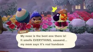 Animal Crossing New Horizons - Weber And Vesta