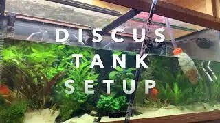 Setup of my Discus Tank. @FishLover108