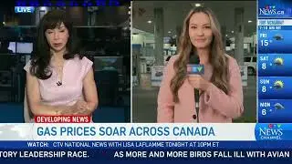 Gas prices surge across Canada... again | 'You almost want to cry' says one driver