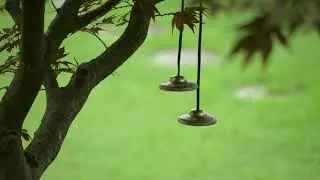 528Hz Release Inner Conflict & Struggle | Anti Anxiety Cleanse - Stop Overthinking, Worry & Stress