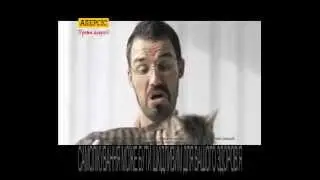 Алерсис  Баста аллерджия!