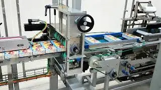 Meypack FW200 for frozen fish products in cartons