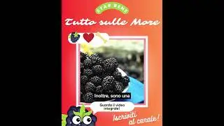 MORE: Ricche di BENEFICI 😍