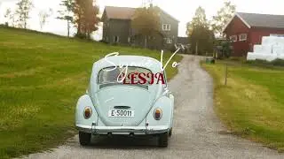 Synne Vo - 2665 Lesja (Official Audio)