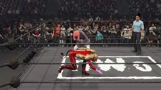 Ann (With joker p5) vs Sayori