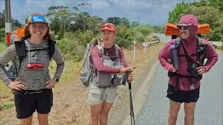 Интервью с пешеходами по тропе Те Арароа № 55 📽🏃‍♀️‍➡️🏃‍♀️‍➡️🏃‍➡️✔️