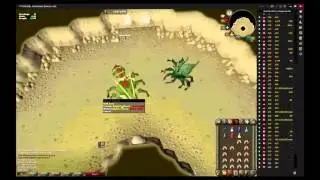 KQ solo on a pure.