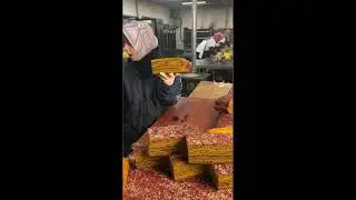 Making Golden Bread Dough Muslim Halal Food in China
