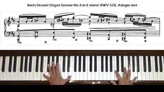 Bach / Stradal Organ Sonata No. 4 BWV 528 Adagio mvt Piano Tutorial full version