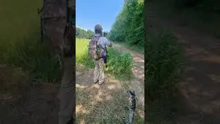 Compound bow practice gets insane 🎯 #archery #shorts
