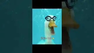 You better not mess with my gang #funny #dook #fyp
