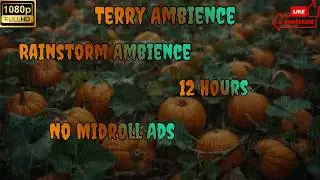 12 Hours pumpkin patch Rainstorm Ambience