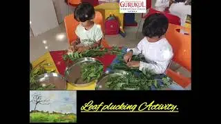 Leaves counting  Activity