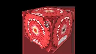 FLYING FLAMINGO - BRIGHT PINK 500 GRAM CAKE BY RACCOON FIREWORKS. GENDER REVEAL PINK & BLUE TOGETHER