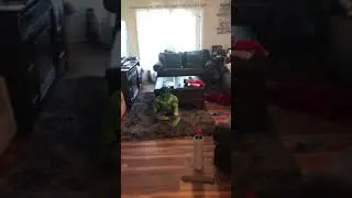 The incredible hawk is on the loose