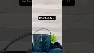 H&m bag🌸