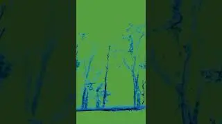 Leifur James - Magic Seeds #shorts