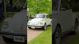 Volkswagen Beetle Classic Car Drive By Engine Sound Festival of Cars Rochester MI 2025