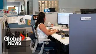 US government workers across country being offered buyout by Trump administration